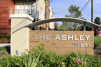 The Ashley in Charleston, SC - Building Photo - Building Photo