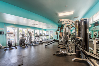 Ventana Apartments in San Diego, CA - Foto de edificio - Interior Photo