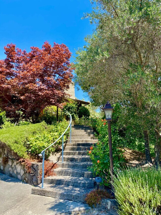 3594 Silverado Trail N in St Helena, CA - Building Photo - Building Photo