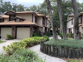 2658 Sequoia Terrace in Palm Harbor, FL - Building Photo