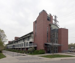 17 Mccormack St in Toronto, ON - Building Photo