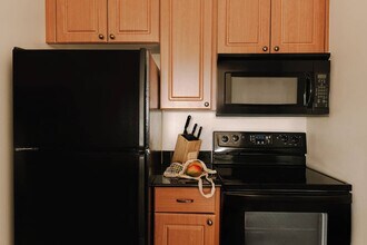 5928 Precision Dr in Orlando, FL - Building Photo - Building Photo