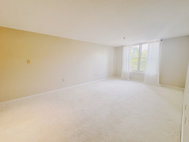 20 Webster St, Unit 304 in Brookline, MA - Building Photo - Building Photo