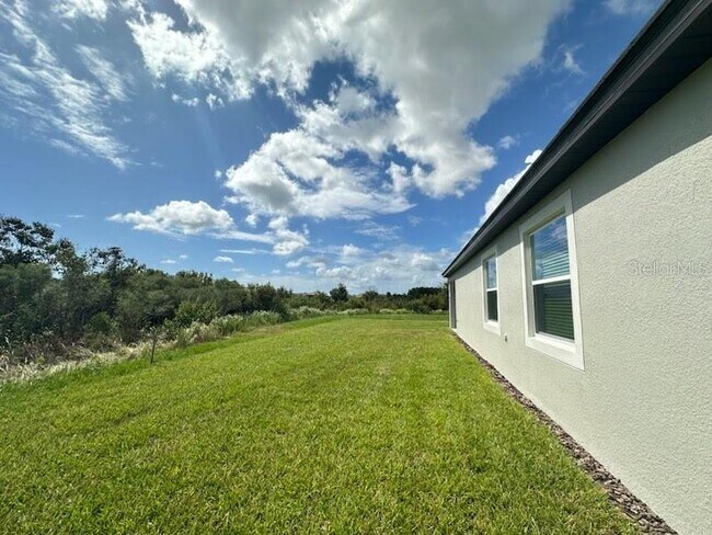 32087 Griffin Sands Ln in San Antonio, FL - Building Photo - Building Photo