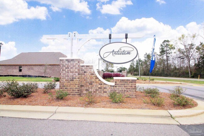8006 Burnside Lp in Bellview, FL - Building Photo - Building Photo