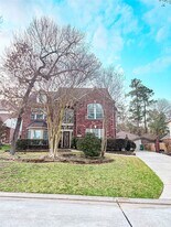 79 W Shale Creek Cir in Spring, TX - Building Photo