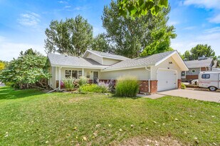 2818 Adobe drive in Fort Collins, CO - Building Photo