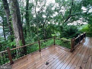 2917 Breezy Terrace in Alexandria, VA - Building Photo - Building Photo