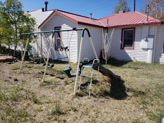 839 Steinfelt Pkwy in Fairplay, CO - Foto de edificio - Building Photo