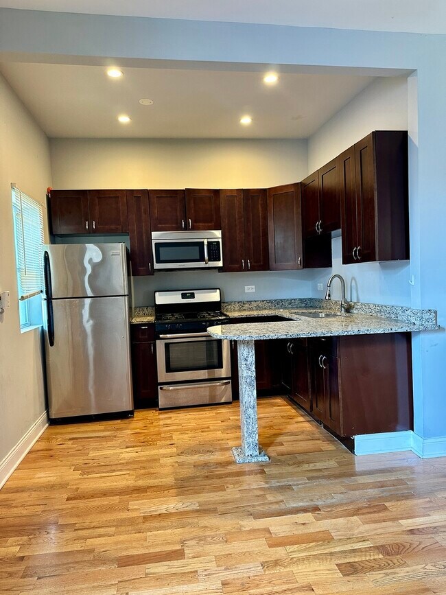1708 S Morgan St in Chicago, IL - Building Photo - Building Photo
