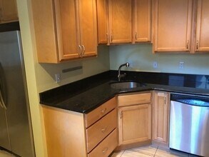 311 Tappan St, Unit 1 in Brookline, MA - Building Photo - Building Photo