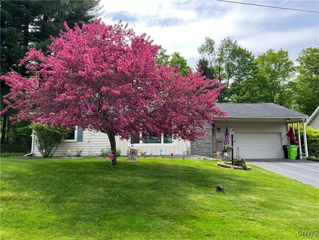 property at 12 Forest Rd