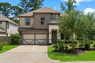 519 Carina Gaze Dr in Willis, TX - Building Photo