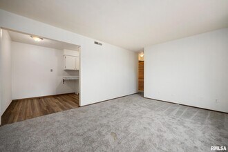 1300 W Jeth Ct in Peoria, IL - Building Photo - Building Photo