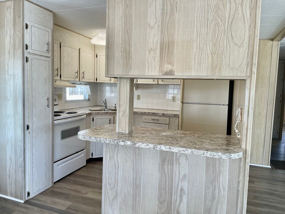 29081 US Hwy 19 N in Clearwater, FL - Building Photo