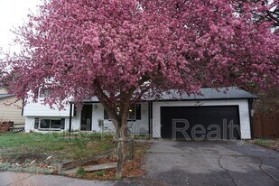 4018 Goldenrod Dr in Colorado Springs, CO - Building Photo