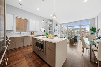 1085 N Marshfield Ave, Unit #3 Top Floor-Rooftop in Chicago, IL - Building Photo - Building Photo