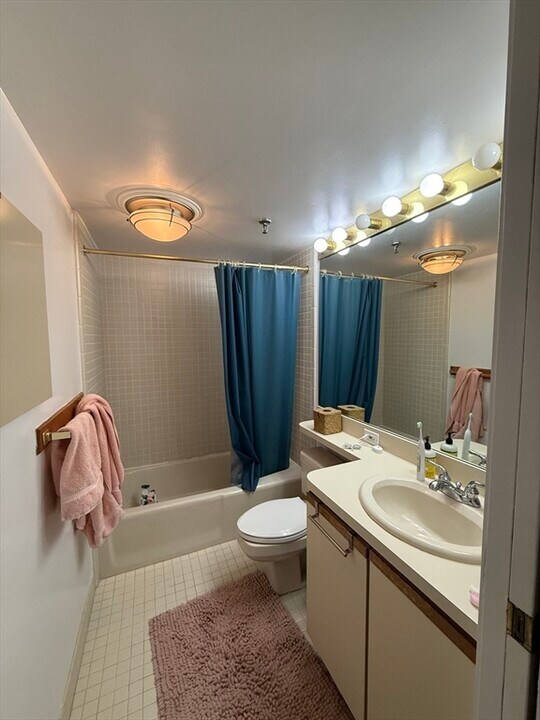 20 Webster St, Unit ## in Brookline, MA - Building Photo