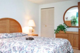 Windsor Mews Apartments in Rome, NY - Foto de edificio - Interior Photo