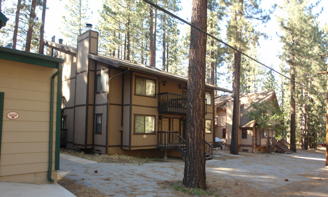 723 Summit Blvd in Big Bear Lake, CA - Foto de edificio - Building Photo