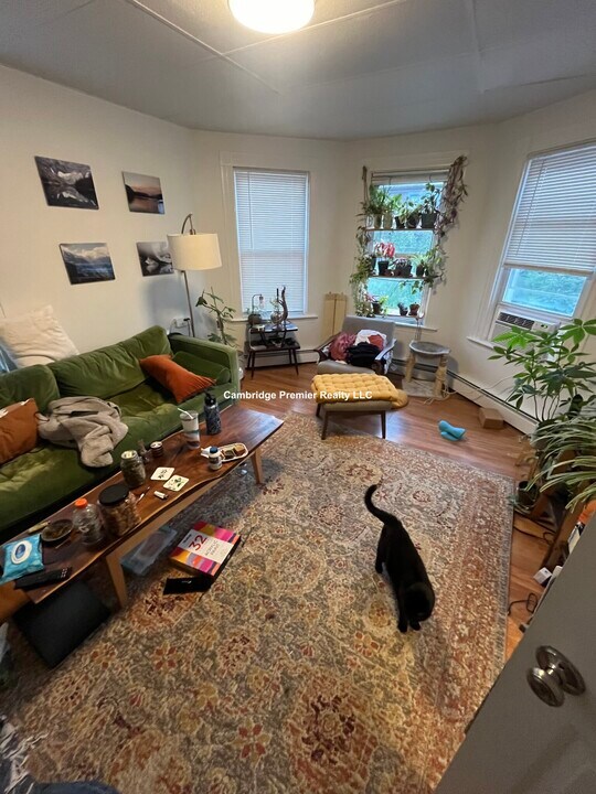 420 Norfolk St in Somerville, MA - Building Photo