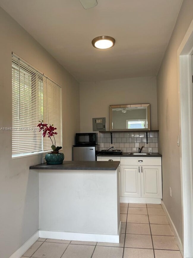 821 SW 29th Ct in Miami, FL - Building Photo - Building Photo