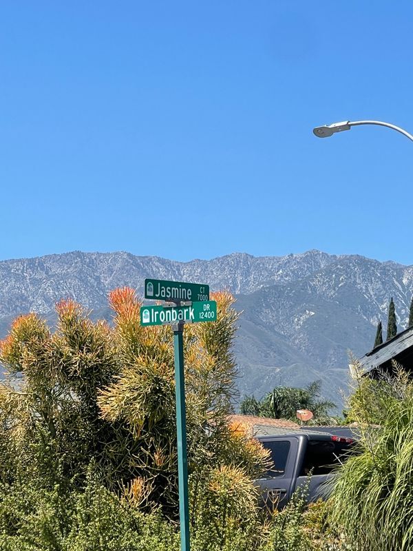 7075 Jasmine Ct in Rancho Cucamonga, CA - Building Photo - Building Photo