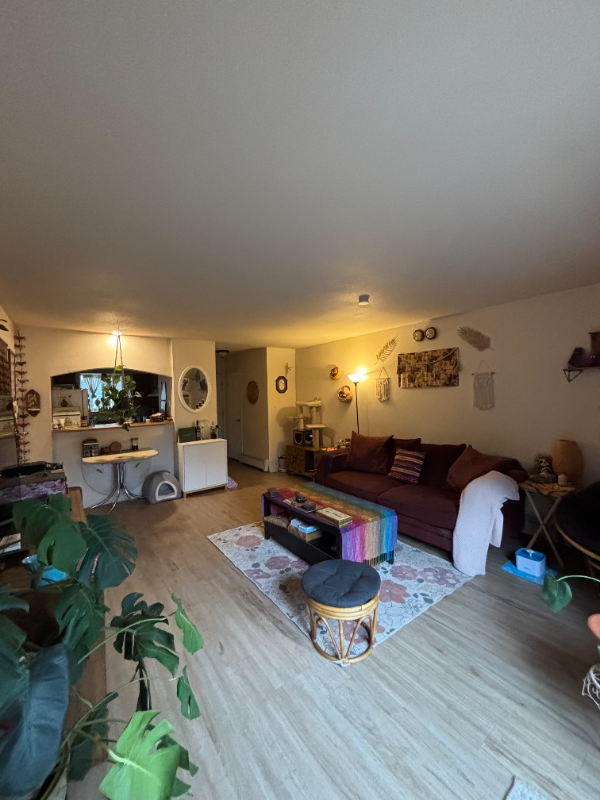 property at 403 E Thunderbird Dr