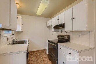 6517 Orbit Way in Fort Collins, CO - Foto de edificio - Building Photo