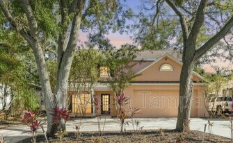 3110 W Villa Rosa St in Tampa, FL - Building Photo
