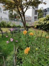 42 Holyoke Rd, Unit Porter Sq in Somerville, MA - Foto de edificio - Building Photo