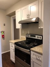 Manor House Apartments in Bay St. Louis, MS - Building Photo - Building Photo