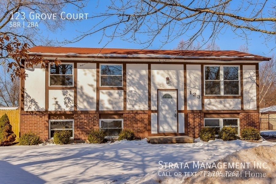 123 Grove Ct in Bolingbrook, IL - Building Photo