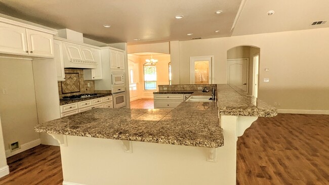 1043 Diamante Robles Ct in Diamond Springs, CA - Building Photo - Building Photo
