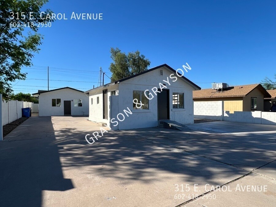 315 E Carol Ave in Phoenix, AZ - Building Photo