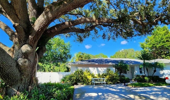 329 Bernard Ave in Sarasota, FL - Building Photo - Building Photo