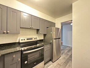 3825 N Pine Grove Ave in Chicago, IL - Building Photo - Building Photo