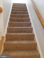 127 Lighthouse Ln in Winchester, VA - Building Photo