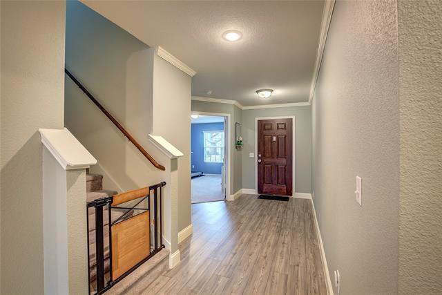 1908 Damianita Dr in Royse City, TX - Building Photo - Building Photo