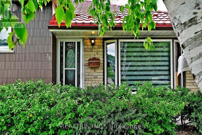 36 Tealham Dr in Toronto, ON - Building Photo - Building Photo