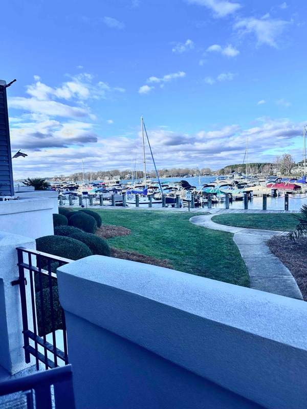 property at 18713 Vineyard Point Ln