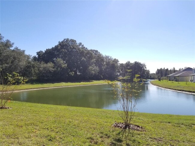 30708 Walker Cup Pl in Wesley Chapel, FL - Building Photo - Building Photo
