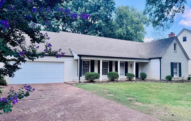 property at 8618 Wine Leaf Cove