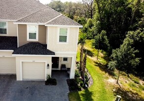 3055 Whooping Crane Dr in Davenport, FL - Building Photo