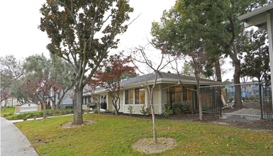 Timberwood Apartments in San Jose, CA - Building Photo - Building Photo