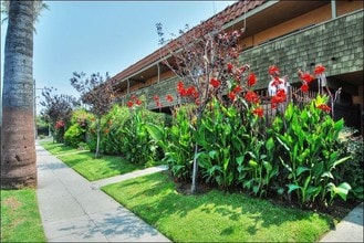 Romaine Street Apartments in Los Angeles, CA - Building Photo - Building Photo