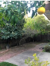 135 Flame Dr in Pleasant Hill, CA - Building Photo - Building Photo