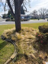 6358 2nd Ave in Sacramento, CA - Building Photo - Building Photo