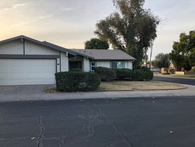 574 Leisure World in Mesa, AZ - Building Photo - Building Photo