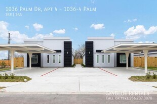 1036 Palm Dr in Alamo, TX - Building Photo